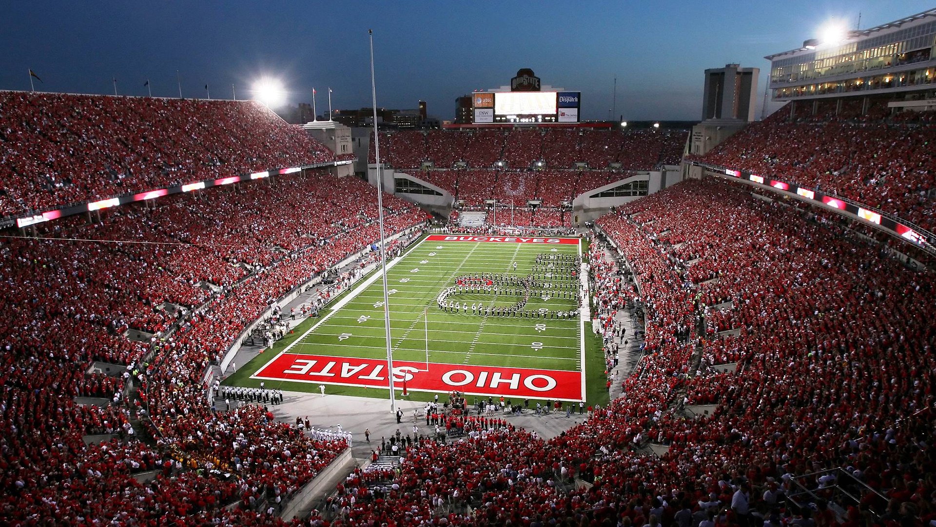 篮球新星成长故事